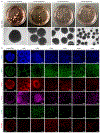 Extended Data Figure 1: