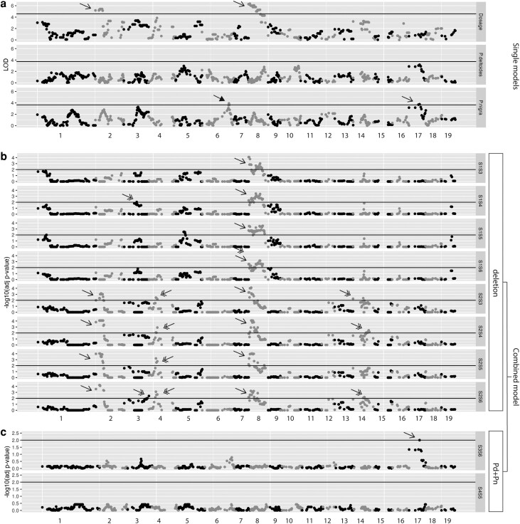 Fig. 8.