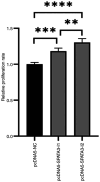 Figure 2. SPATA3 promotes HeLa cell proliferation in vitro . Relative proliferation rates of HeLa cells transfected with pcDNA5–SPATA3–I1, pcDNA5–SPATA3–I2 or the empty vector pcDNA5 a t 48 h post–tra...