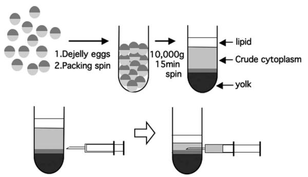 Fig. 17.1