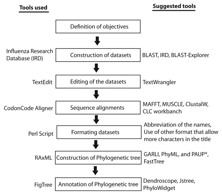 graphic file with name viru-4-97-g1.jpg