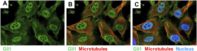 FIGURE 10