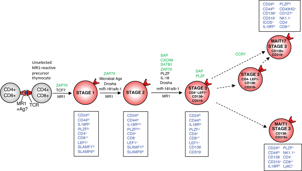 Figure 7.