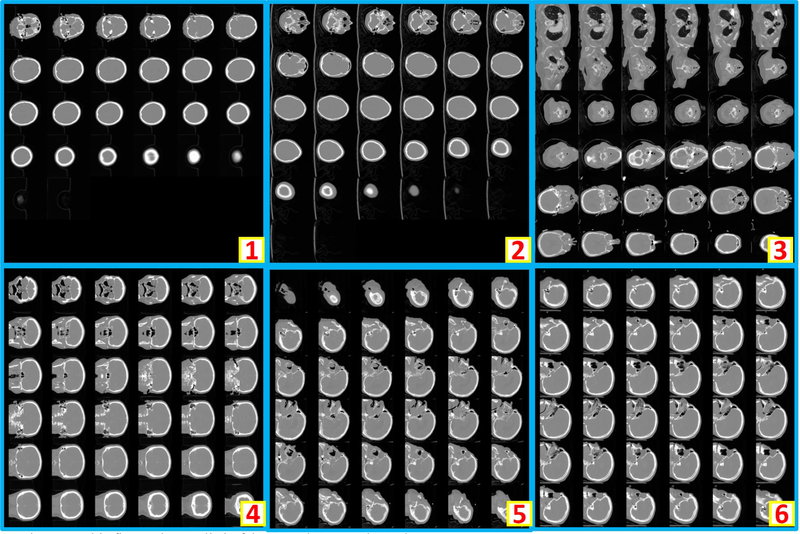 Figure 7.