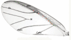 Figure 8.