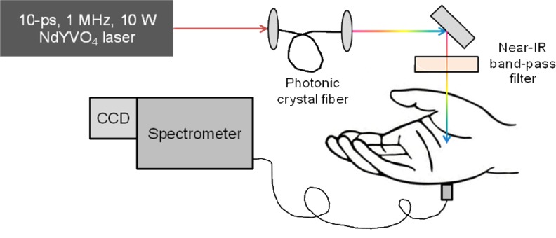 Fig. 1