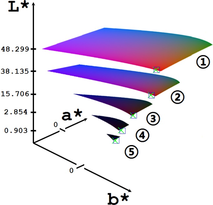 Fig. 6