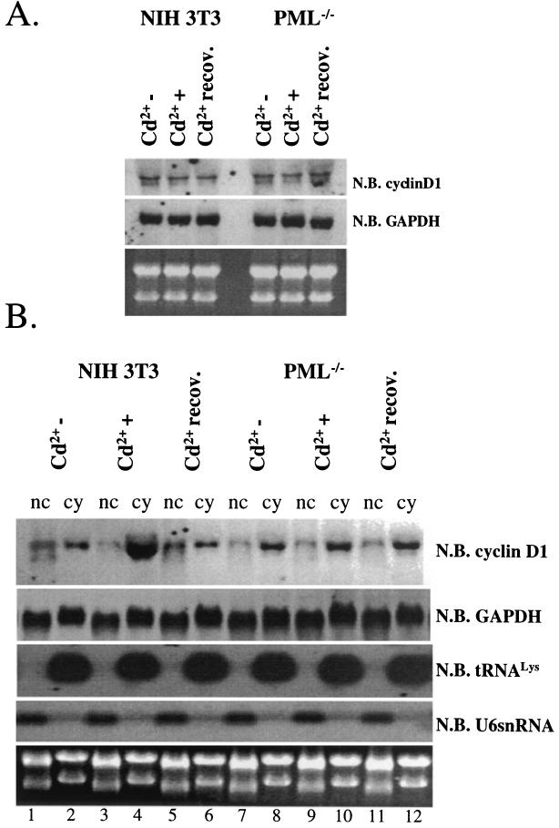 FIG. 5.