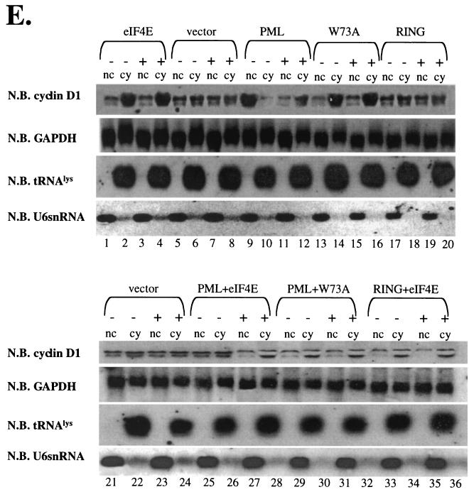 FIG. 7.