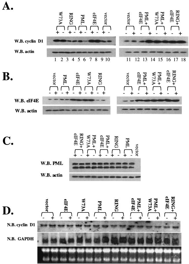 FIG. 7.