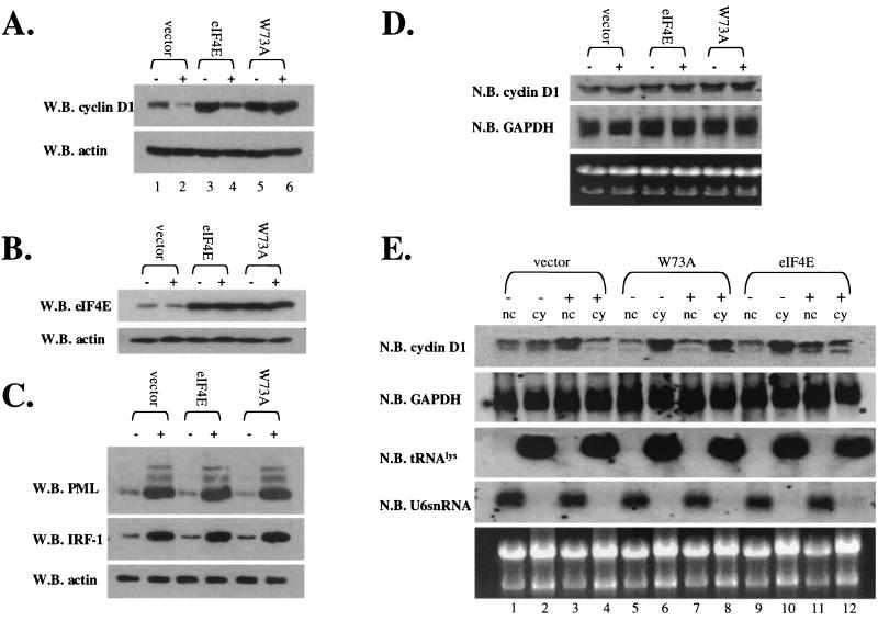 FIG. 9.