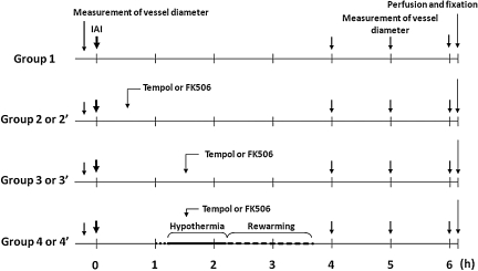 FIG. 1.