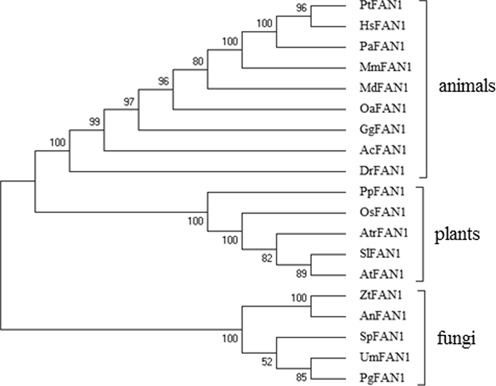 Figure 2.