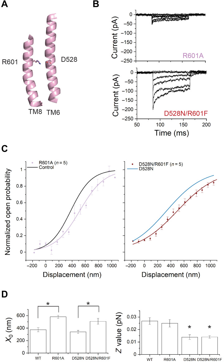 Fig. 6.