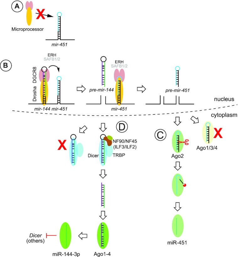 Figure 7.