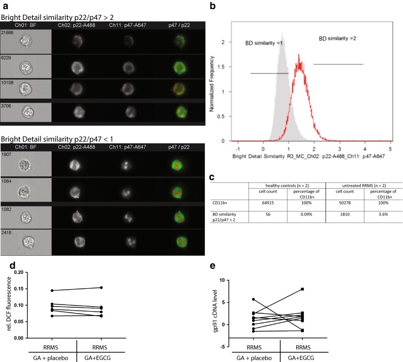 Fig. 6