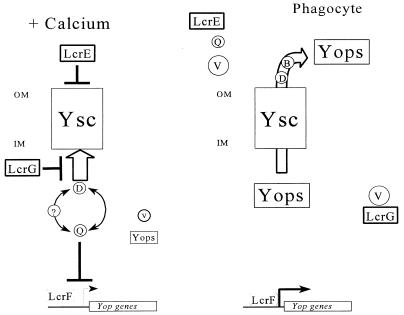 FIG. 6