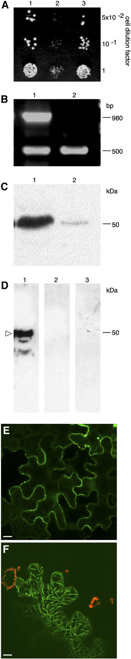 Figure 4.