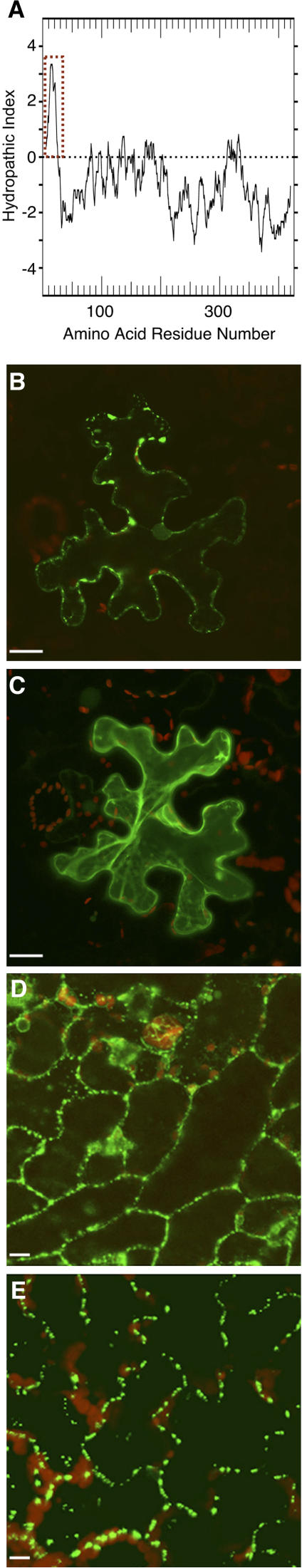 Figure 2.