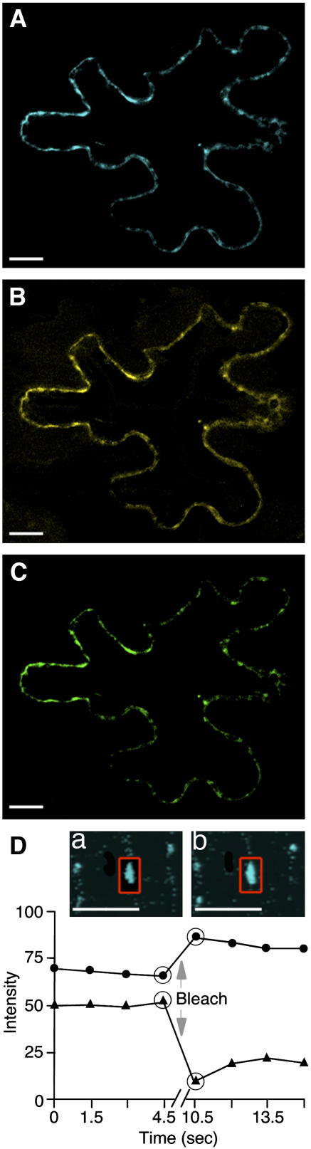 Figure 3.