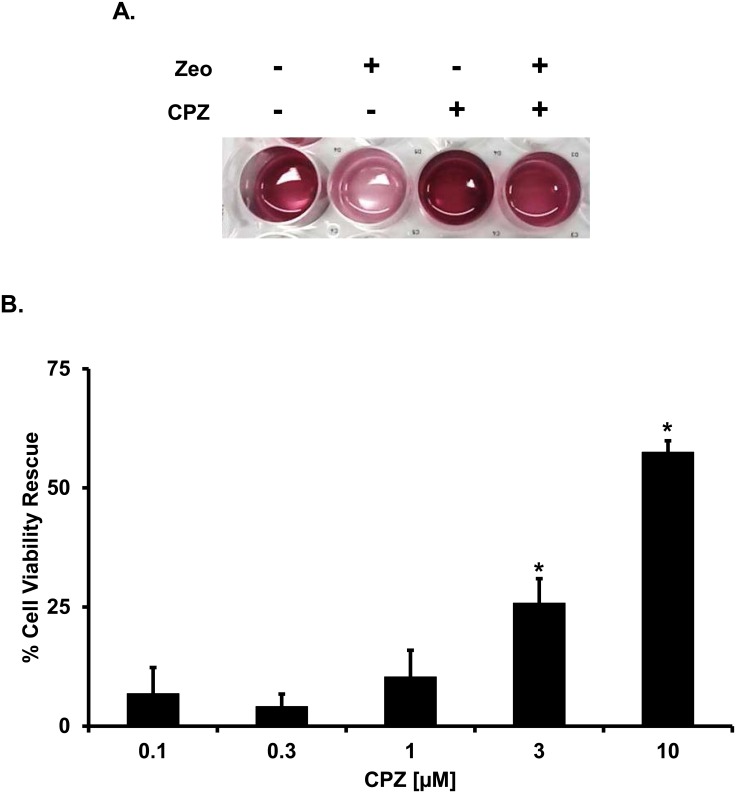 Fig 3