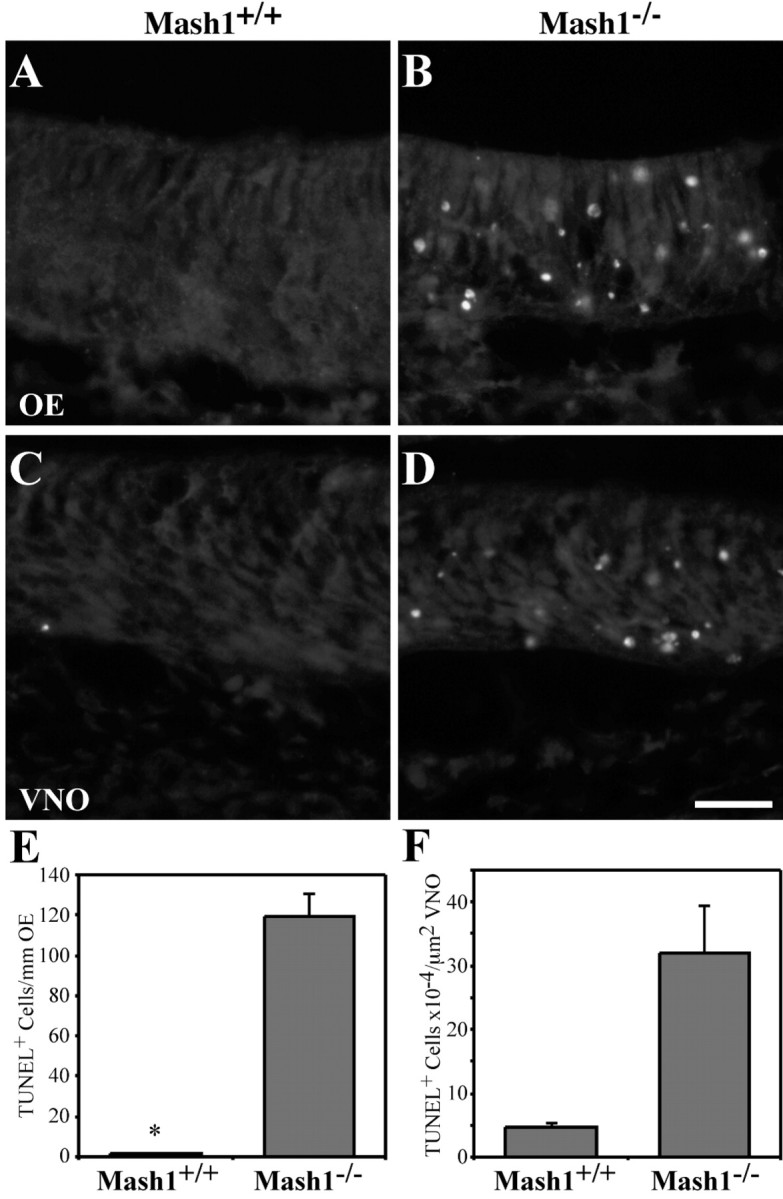 Fig. 9.