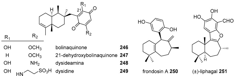 Figure 22