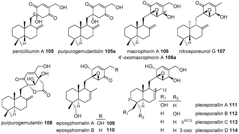 Figure 17