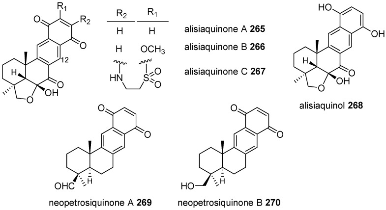 Figure 24