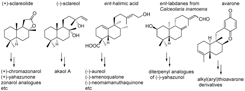 Figure 50