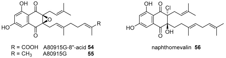 Figure 8