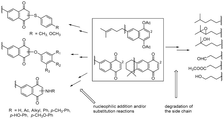 Scheme 3