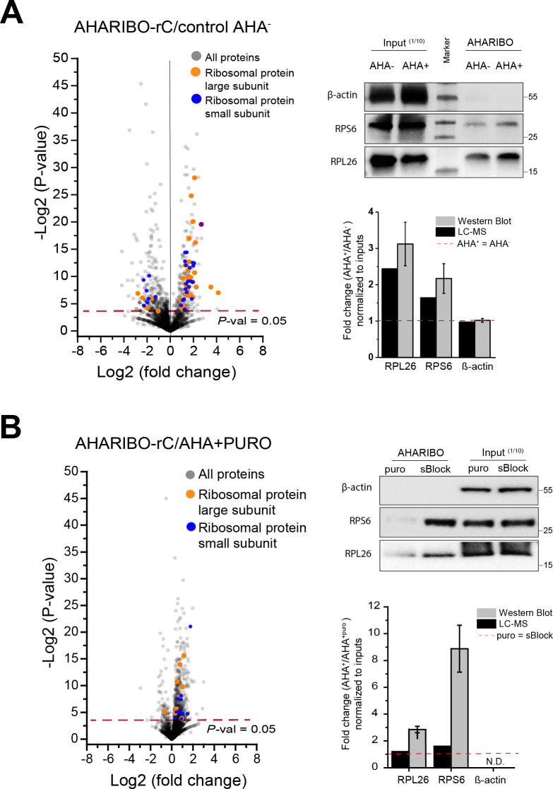 Figure 1—figure supplement 2.