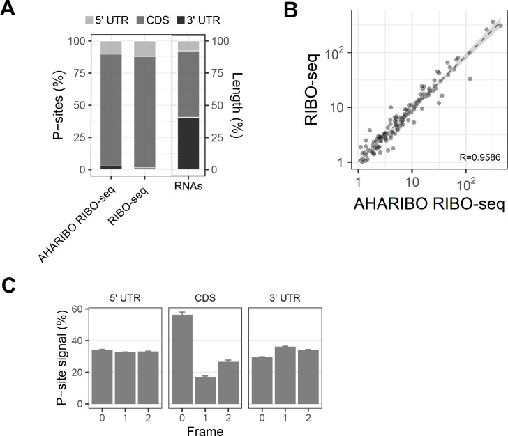 Figure 4—figure supplement 2.