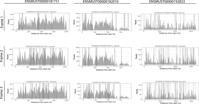 Figure 4—figure supplement 3.