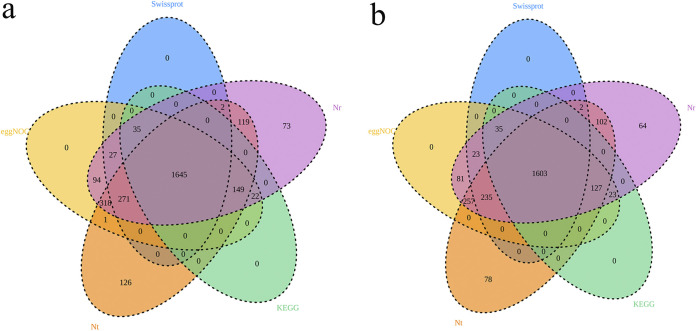 FIG 2