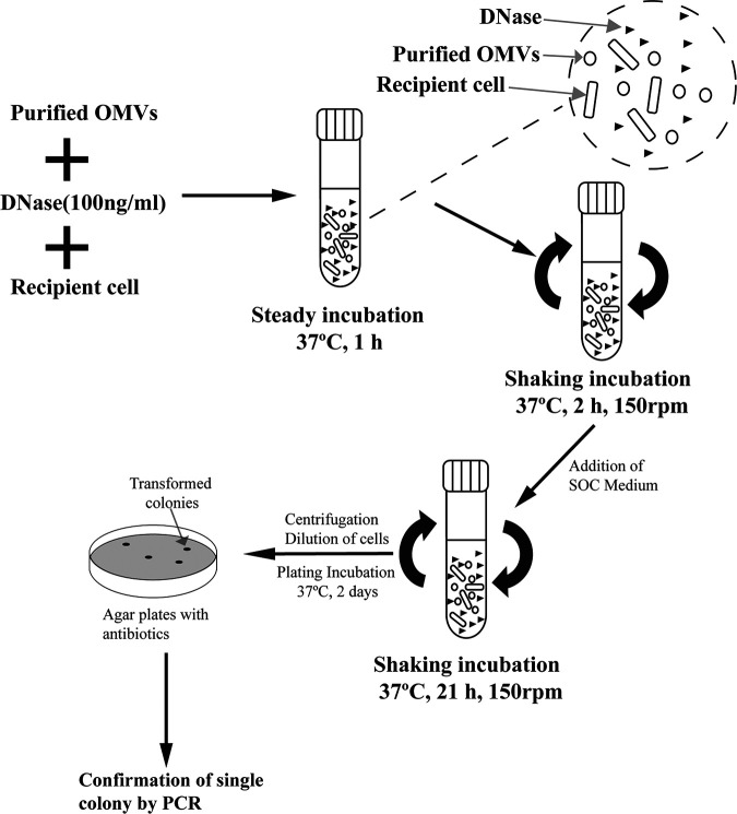 FIG 8