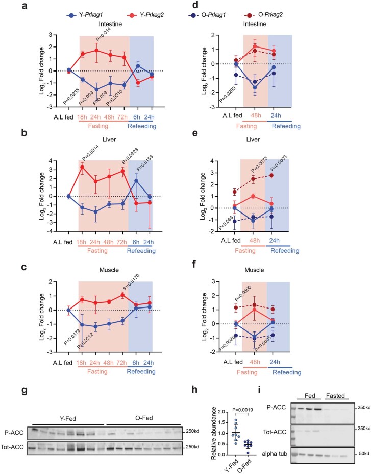 Extended Data Fig. 2