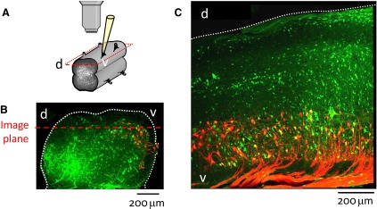 FIG. 7.