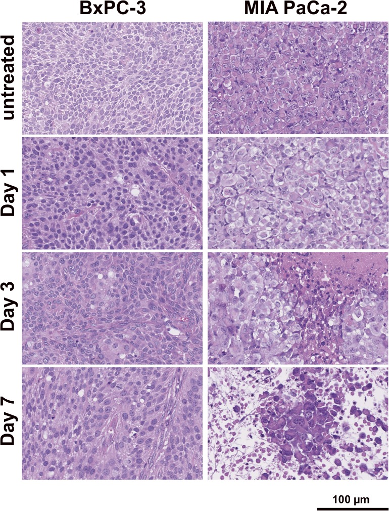 Fig 5