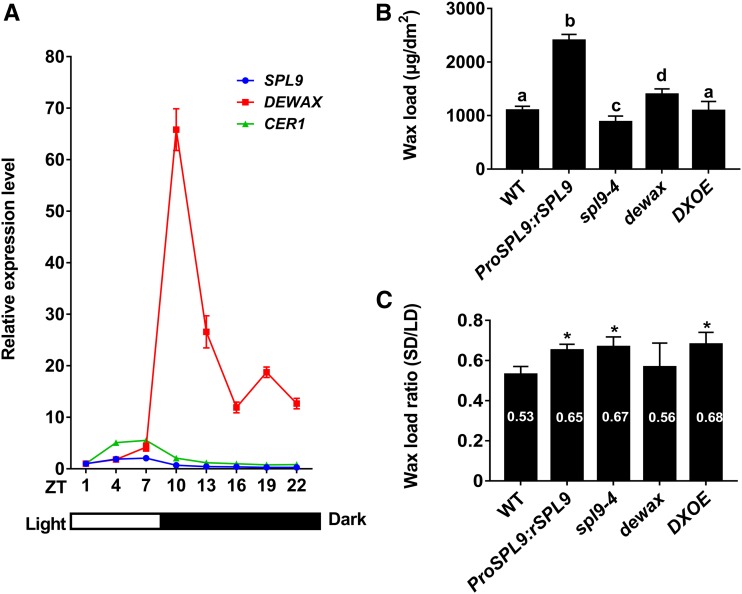 Figure 11.