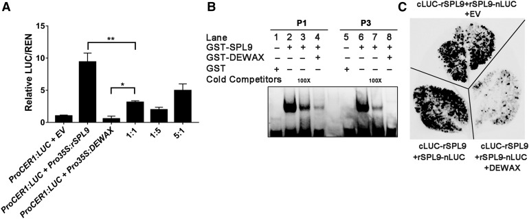 Figure 7.