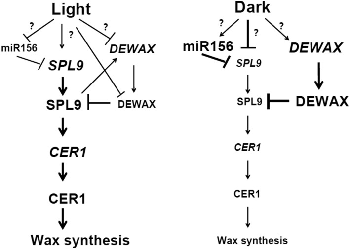 Figure 12.