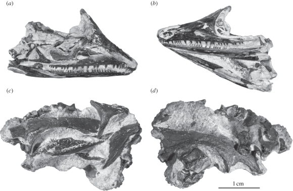 Figure 1.