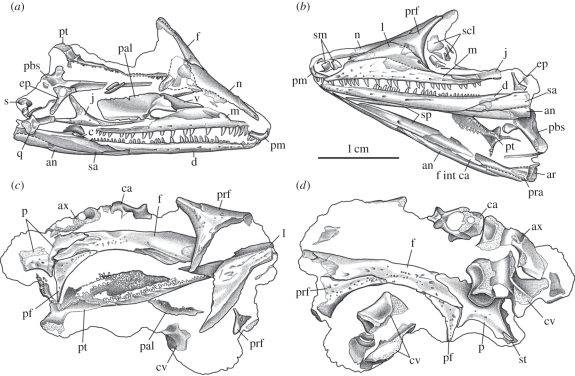 Figure 2.