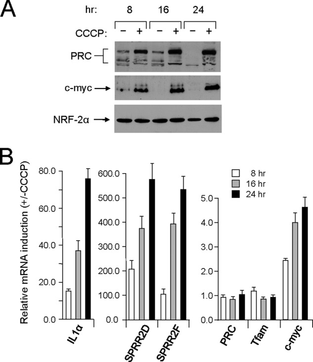 FIGURE 1.