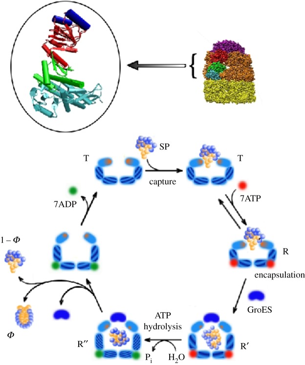 Figure 1.