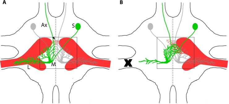 Fig 1