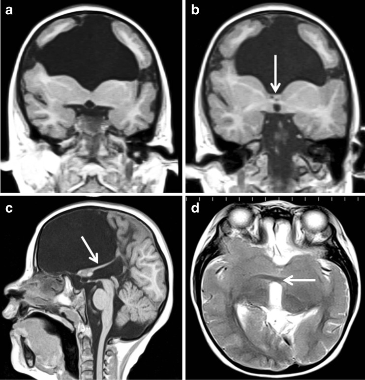 Fig. 8