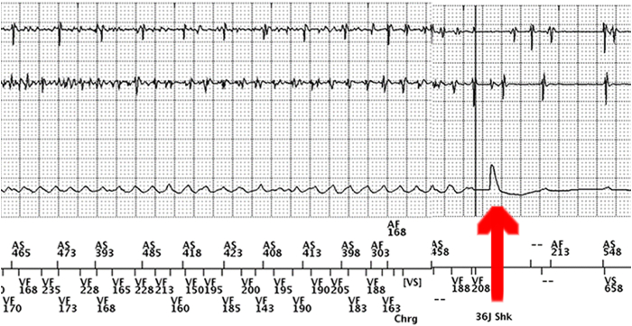 Figure 3